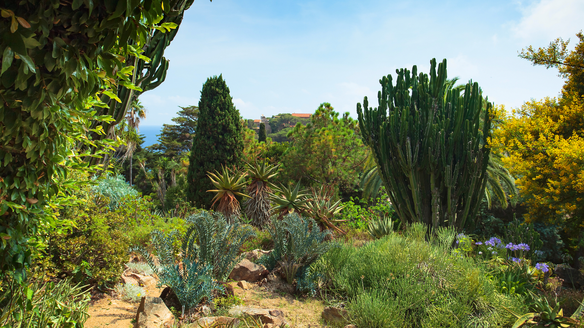 Ontdek de mooiste botanische tuinen en natuurparken aan de Costa Brava